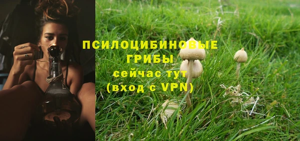 mdma Горняк